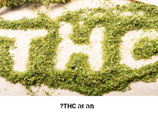 תפרחת קנאביס מפוררת עם האותיות THC